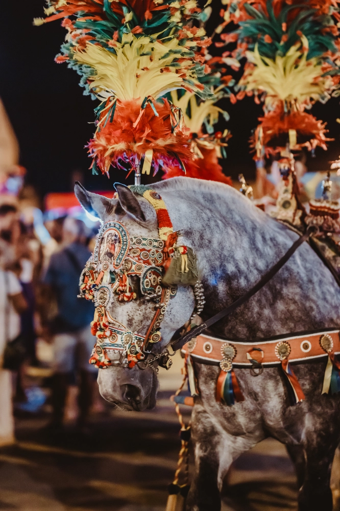 Cavalcata di San Giuseppe, Scicli, Sicily 2024.
Photo by Giorgia Sardelli x Visit Scicli