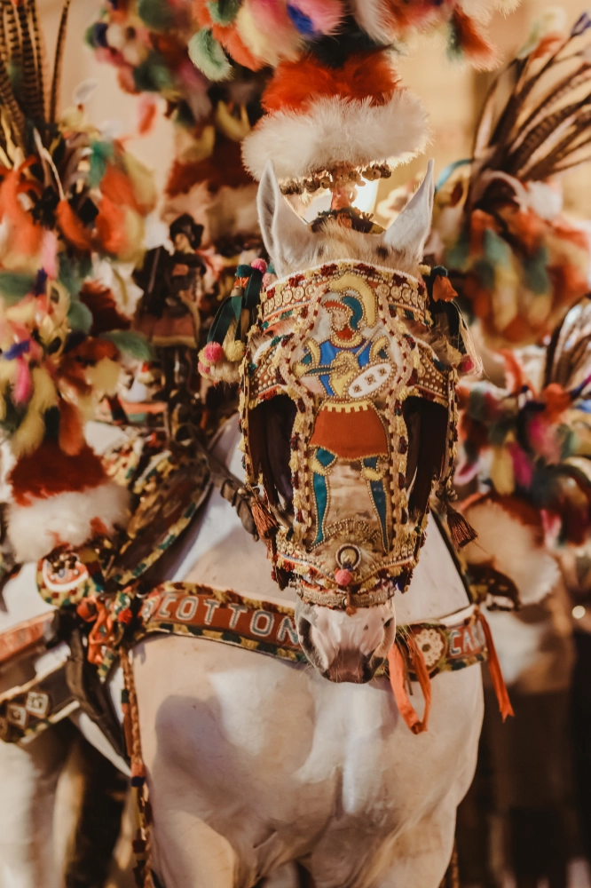 Cavalcata di San Giuseppe, Scicli, Sicily 2024.
Photo by Giorgia Sardelli x Visit Scicli